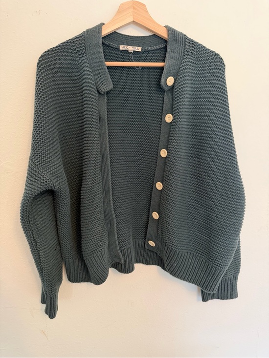 Alex Mill Sweaters - Alex Mill Slate Green Chunky Button Cardigan